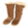 ugg-boot-suede-cleaning.png